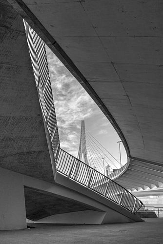 Symétrie urbaine