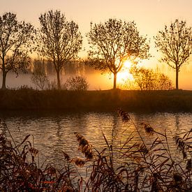 lever du soleil le long de l'Escaut à Gand - Belgique sur Fotografie Krist / Top Foto Vlaanderen