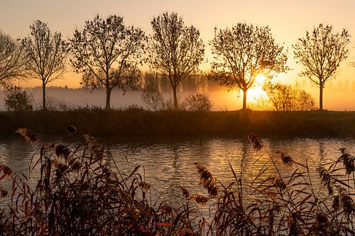 zonsopkomst langs de schelde in Gent - Belgie
