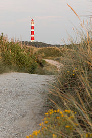 Sentier côtier à travers les dunes jusqu'au phare sur Mayra Fotografie