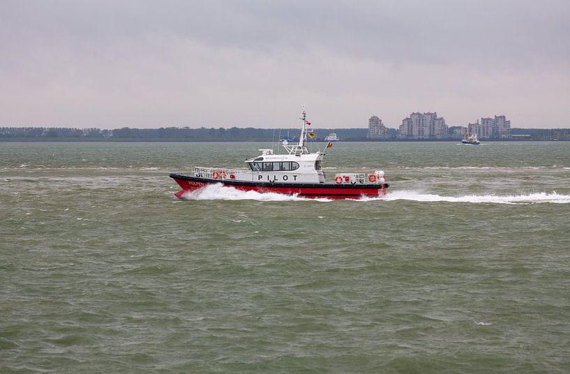 Loodsboot Wulpen van MSP Canvas