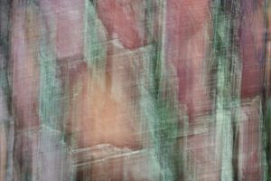 Abstract van schors van Douglas spar 2