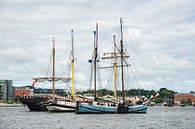 Windjammer on the river Warnow in Rostock (Germany) during the Hanse Sail van Rico Ködder thumbnail
