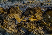 Gouden creatief landschap