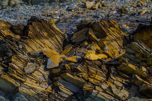 Un paysage créatif en or