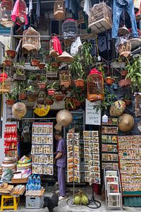 Geschäft mit Vogelkäfigen Hanoi
