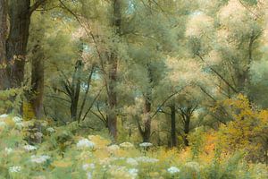 Boslandschap in het voorjaar