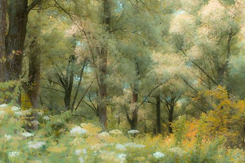 Spring forest landscape