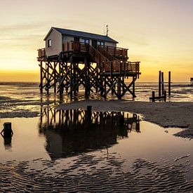 Pile dwellings on the North Sea coast on the beach at St. Peter Ording - panorama at sunset by Frank Herrmann