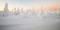 Lever de soleil dans un paysage d'hiver par Menno Schaefer Aperçu