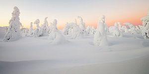 Lever de soleil dans un paysage d'hiver sur Menno Schaefer