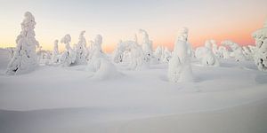 Sonnenaufgang in einer Winterlandschaft