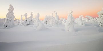 Zonsopkomst in een winters landschap van Menno Schaefer