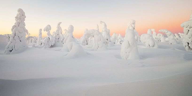 Lever de soleil dans un paysage d'hiver par Menno Schaefer