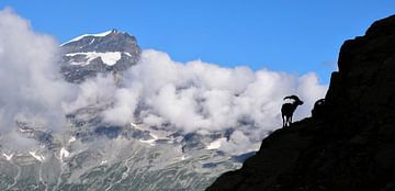 Macugnaga, Italien - III