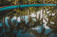 Reflexion Palmen bei Verlassenen Wasserpark Vietnam von Susanne Ottenheym Miniaturansicht