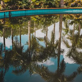 Des palmiers à réflexion dans un parc aquatique abandonné au Vietnam sur Susanne Ottenheym