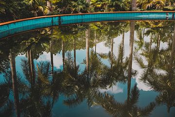 Weerspiegeling Palmbomen bij Verlaten Waterpark Vietnam van Susanne Ottenheym