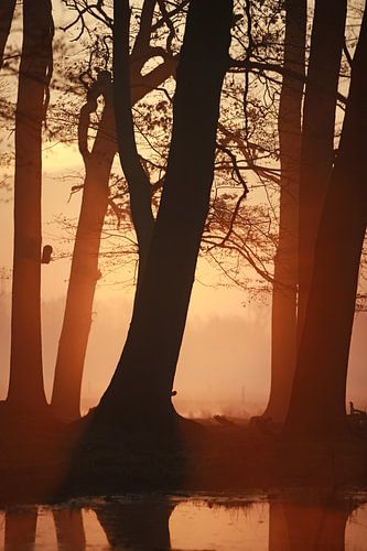 Zonsopgang van Jana Behr
