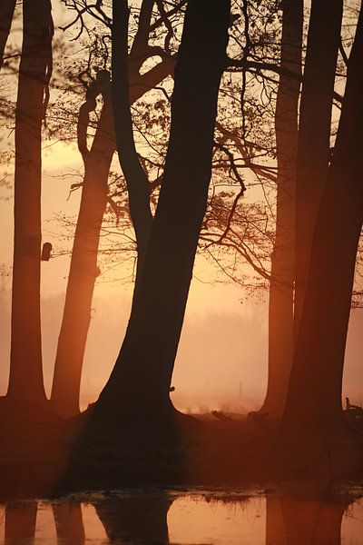 Sonnenaufgang von Jana Behr