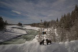Benbryteforsen - White water near Vidsel in Swedish Lapland
