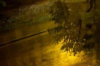 La lumière du soir sous la pluie par Els Hattink Aperçu