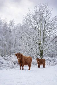 Mutter und Kind im Schnee...