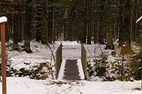 bridge over small river