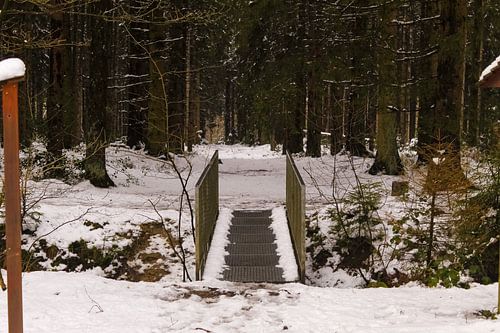 brug over klein riviertje