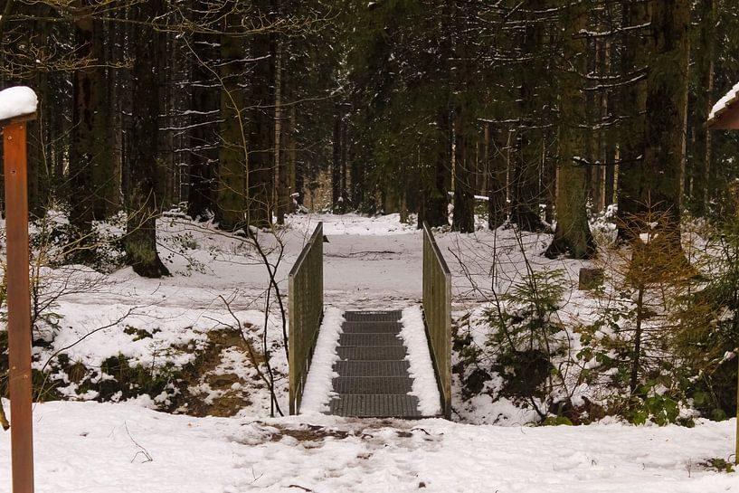 Brücke über einen kleinen Fluss von Raf Eussen