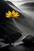 Yellow Flower