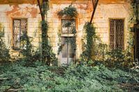 Jungle House