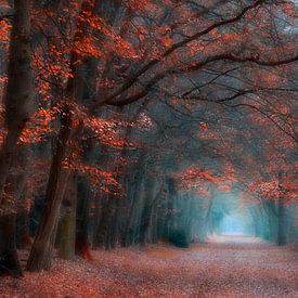 Autumn Mood von Brigitte van Krimpen