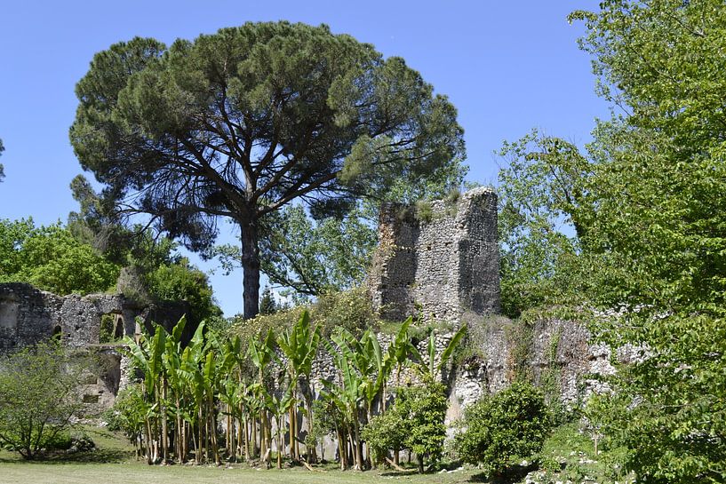 Tuin in Italie van Susan Dekker
