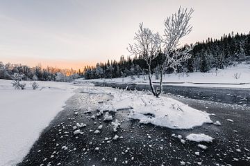 Bevroren Rivier - Vesterålen, Noorwegen van Martijn Smeets
