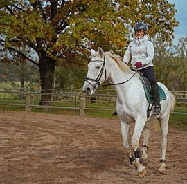 Training with the white horse on a riding arena in autumn
