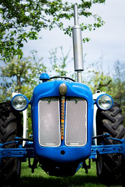 Oldtimer-Traktor fordson dexta von Danny Weenink