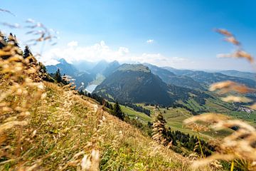 Seealpsee in den Appenzeller Alpen und den Blick auf den Säntis