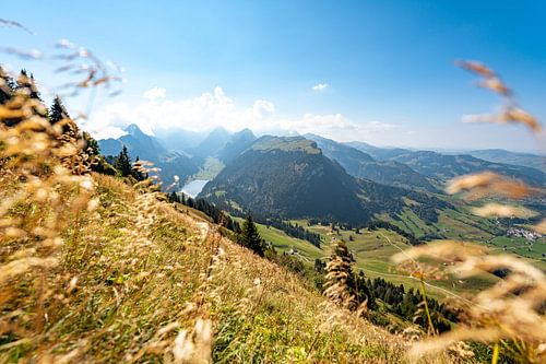 Seealpsee in de Appenzeller Alpen en het uitzicht op de Säntis