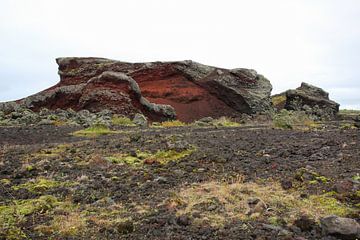 Red lava rock by Louise Poortvliet