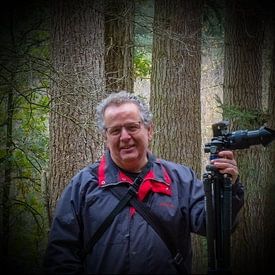 Ton Beerens Profilfoto