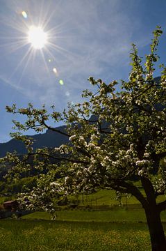 Zwitserland van WeVaFotografie