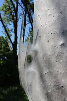 nature art