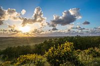 Terschelling