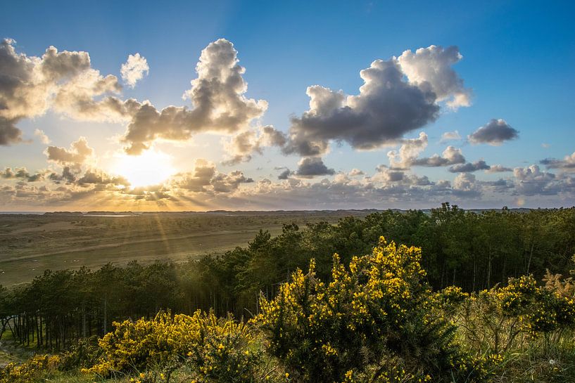 Terschelling von Kelly Groen