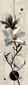 Magnolia blossom