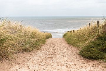 Le chemin à travers les dunes sur Yanuschka Fotografie | Noordwijk