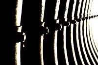 Linien