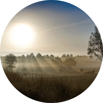 Loenermark ontwaakt van FotoCreatives