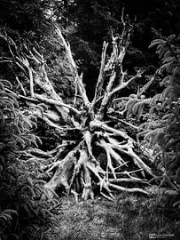 The last breath by Leon Exterkate